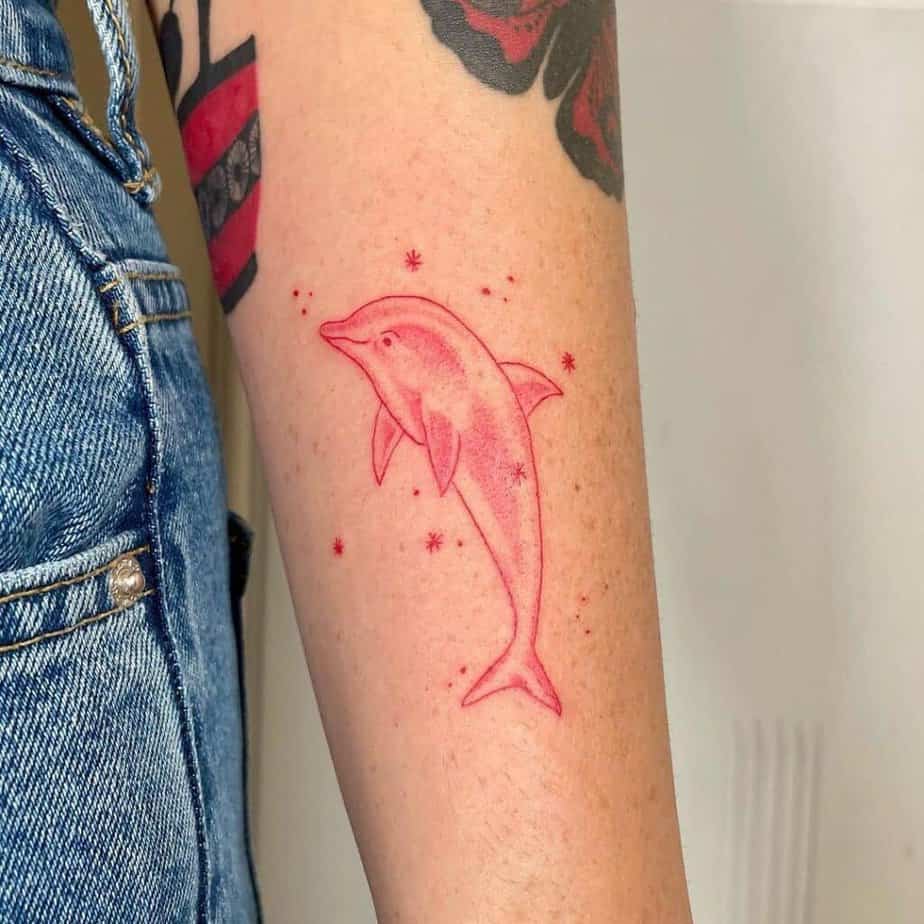 20. Roter Delfin