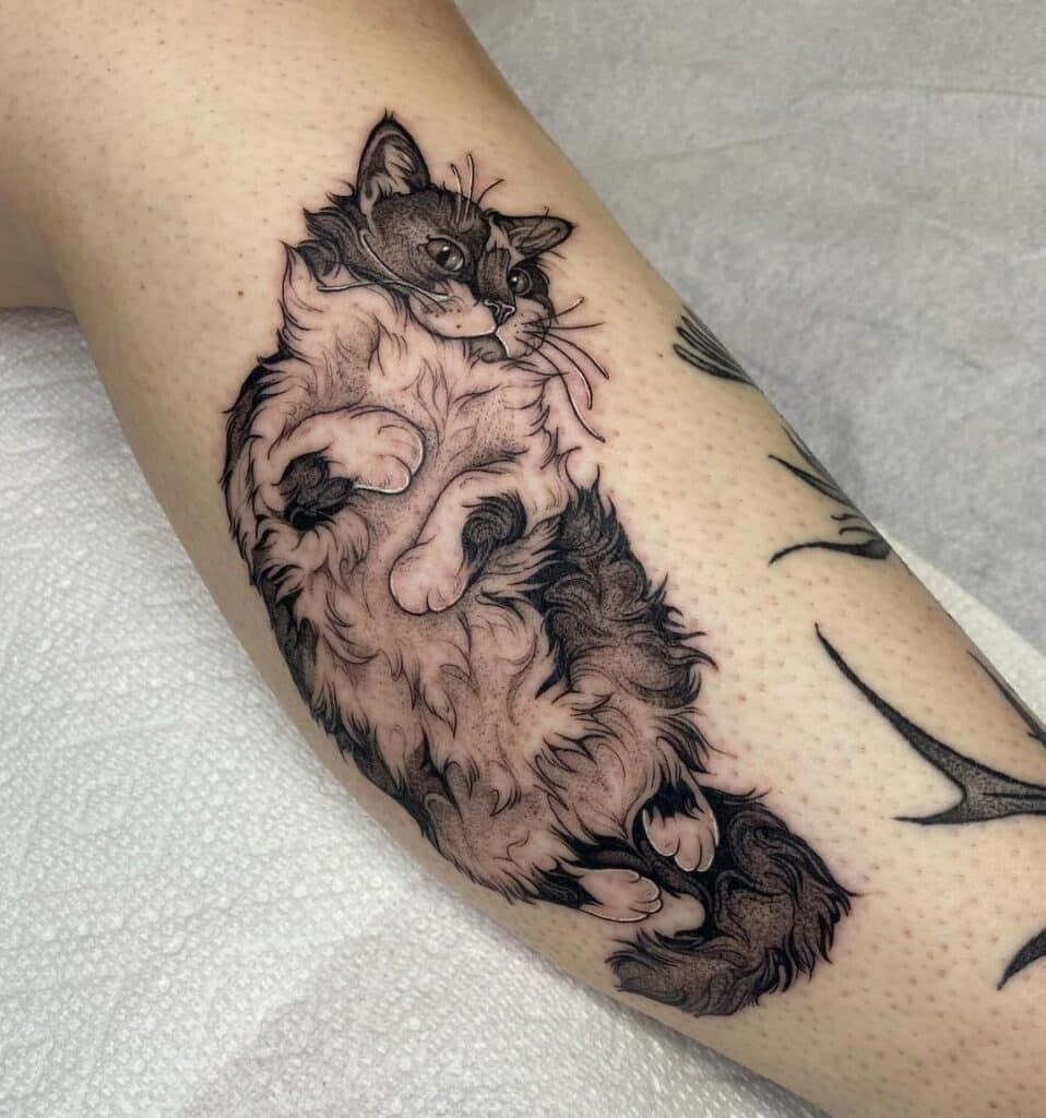 1. Ein Katzen-Tattoo