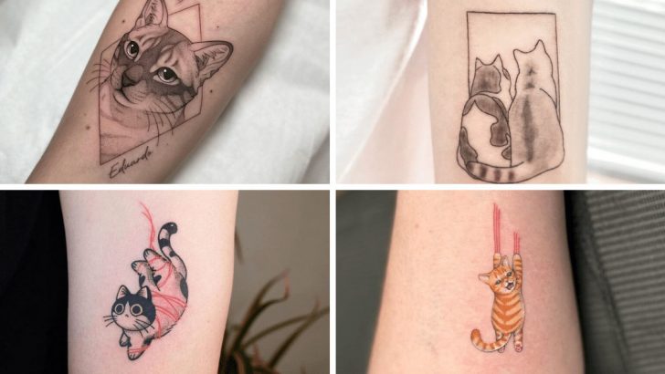 20 Katzen-Tattoo-Ideen, um Ihren pelzigen Freund zu feiern