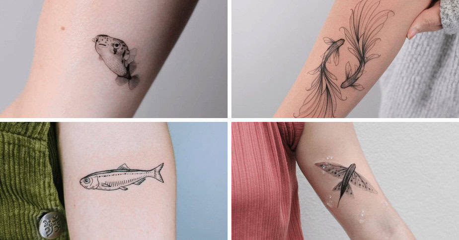 21 Fantastische Fisch-Tattoos, die Sie fesseln werden