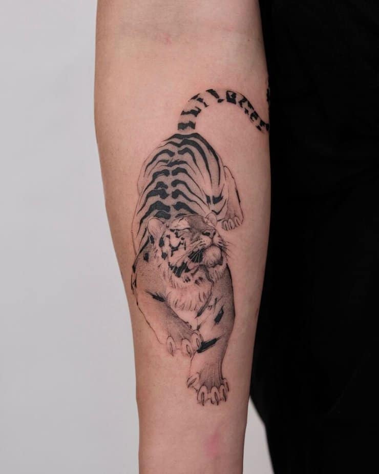 3. Ein süßer und knuddeliger Tiger auf dem Unterarm