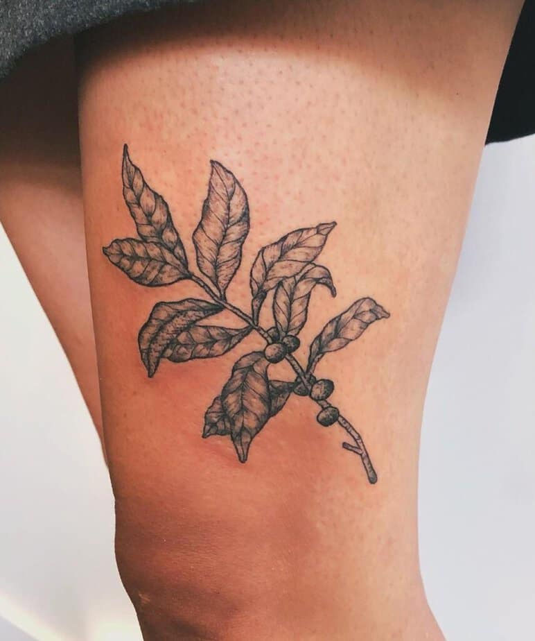 Kaffeepflanzen-Tattoo für jede Ästhetik an den Beinen