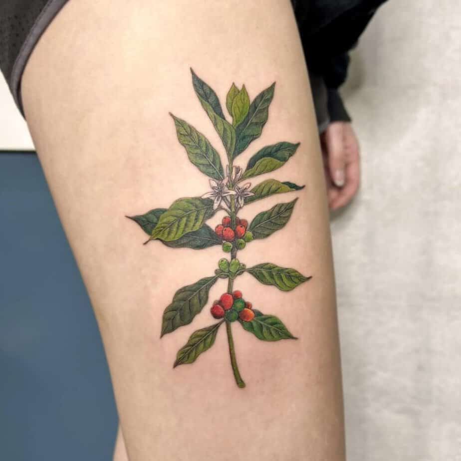 Bunte Kaffeepflanzen-Tattoos  
