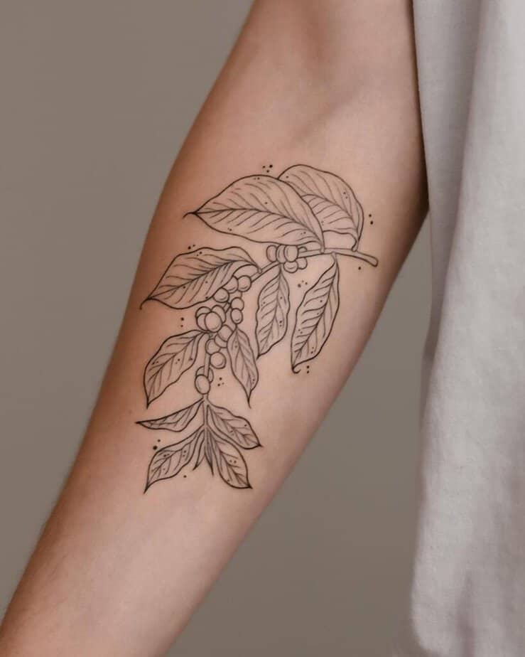 Einfaches und elegantes Kaffeepflanzen-Tattoo auf dem Unterarm 