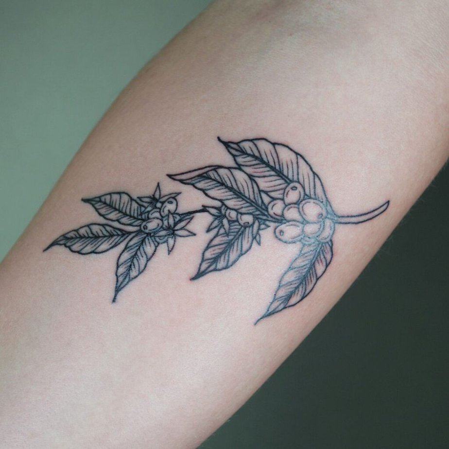 Einfaches und elegantes Kaffeepflanzen-Tattoo auf dem Unterarm 