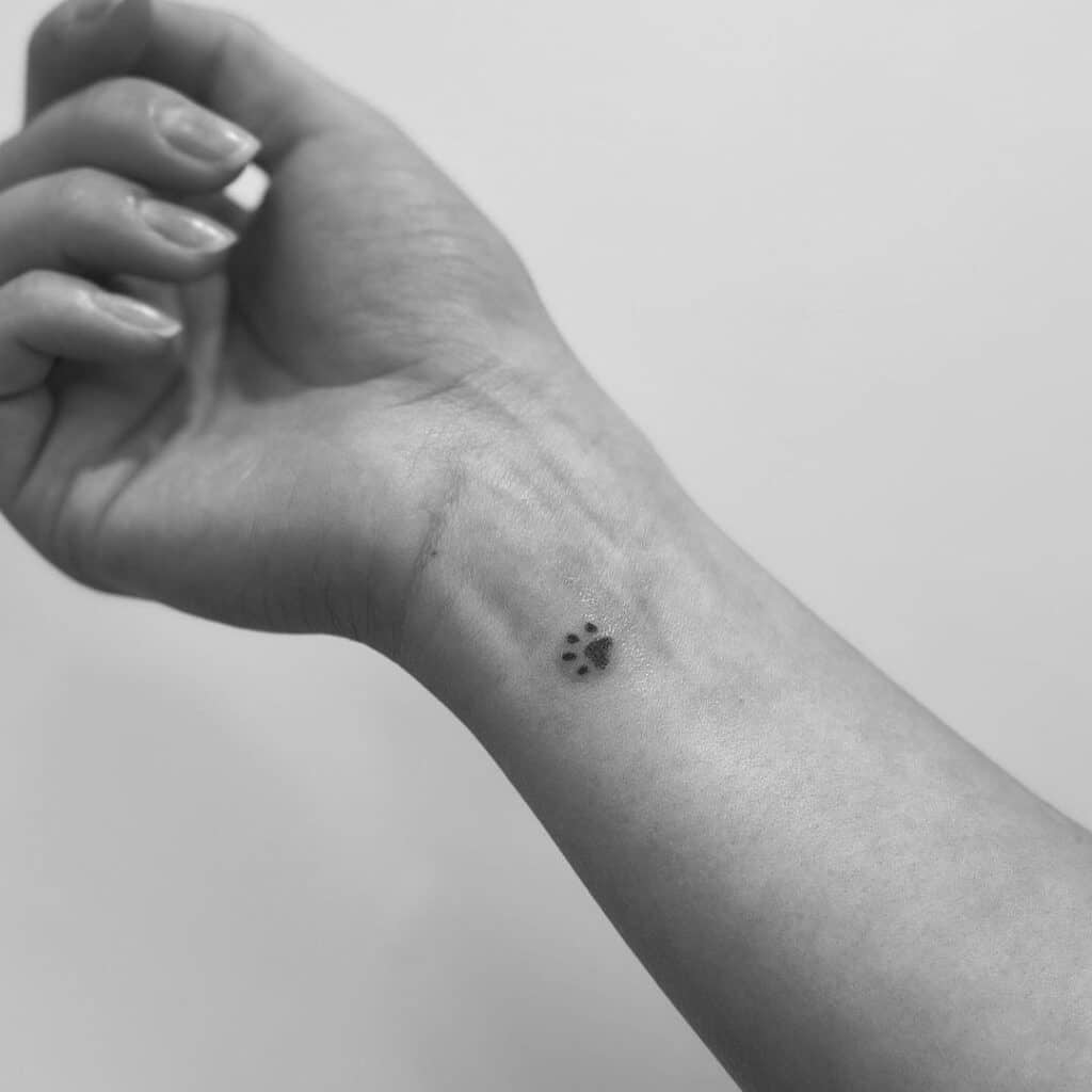 12. Ein winziges Tattoo auf der Pfote 