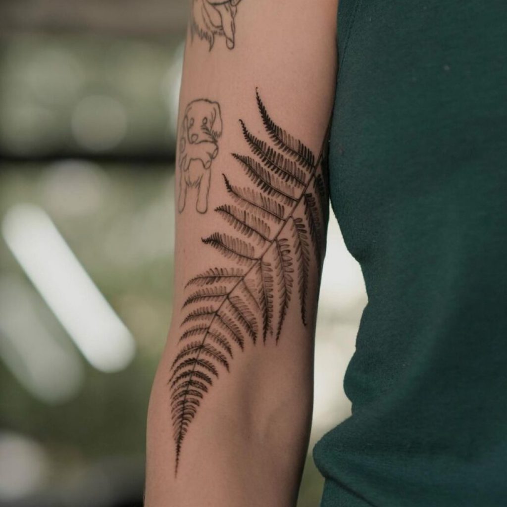 Ein Farn-Tattoo auf der Innenseite des Arms
