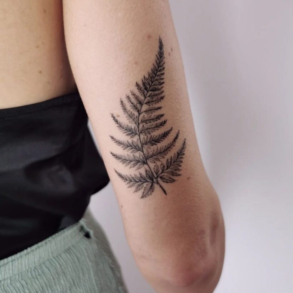 Ein Farn-Tattoo auf der Rückseite des Arms