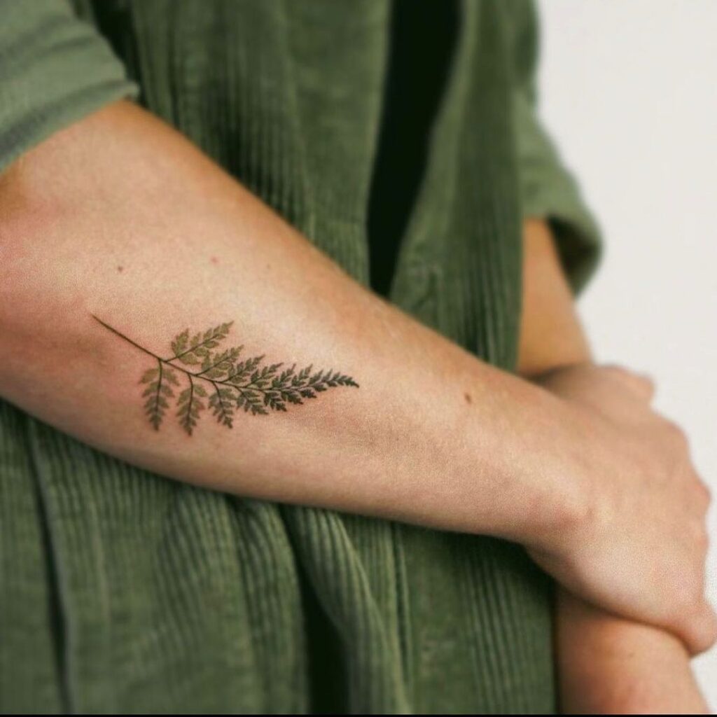 Ein realistisches Farn-Tattoo auf dem Unterarm