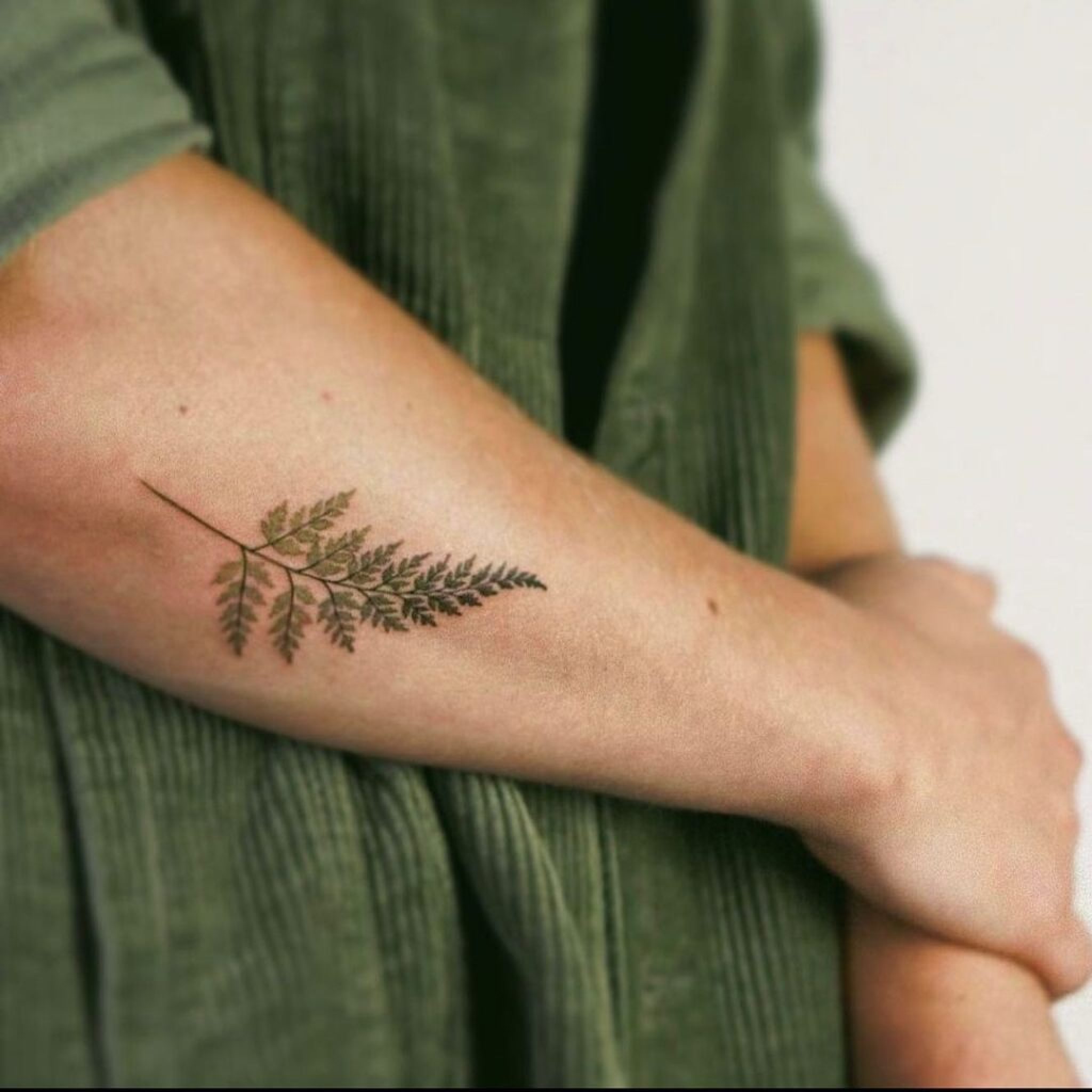 20 Phänomenale FarnTattoos, die deine Tinteninspiration wachsen lassen