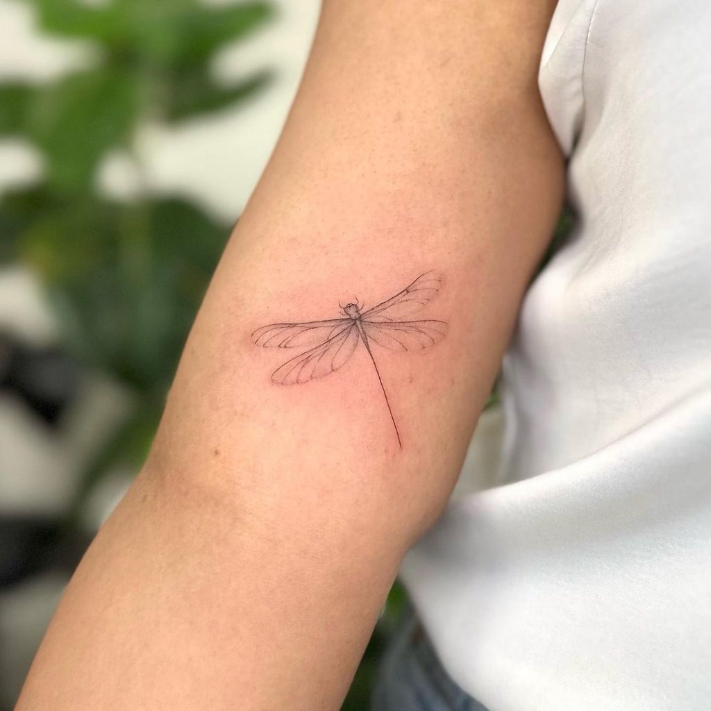 Ein zierliches Libellen-Tattoo auf dem Bizeps