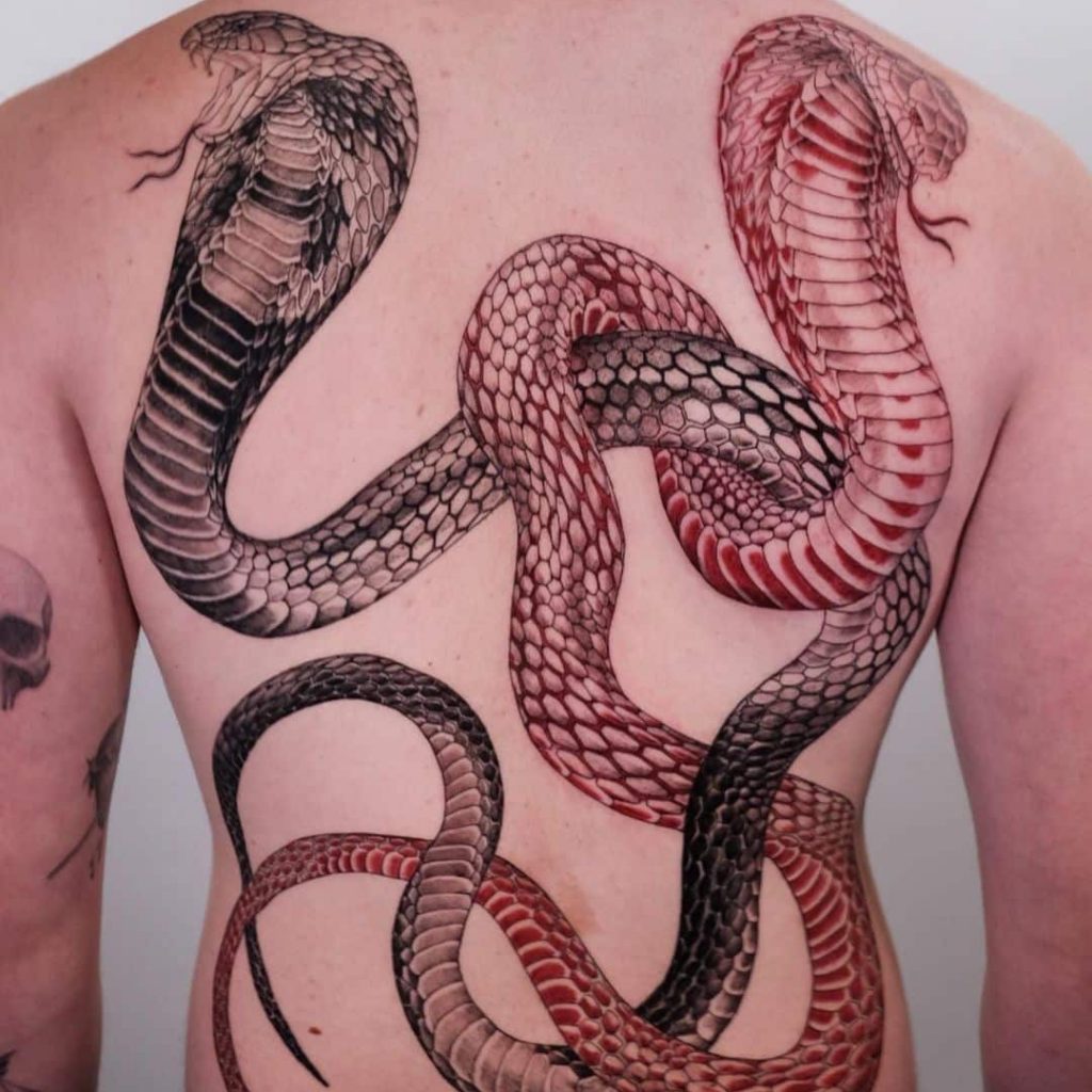 Eine Kobra-Tätowierung mit schwarzer und roter Tinte auf dem Rücken