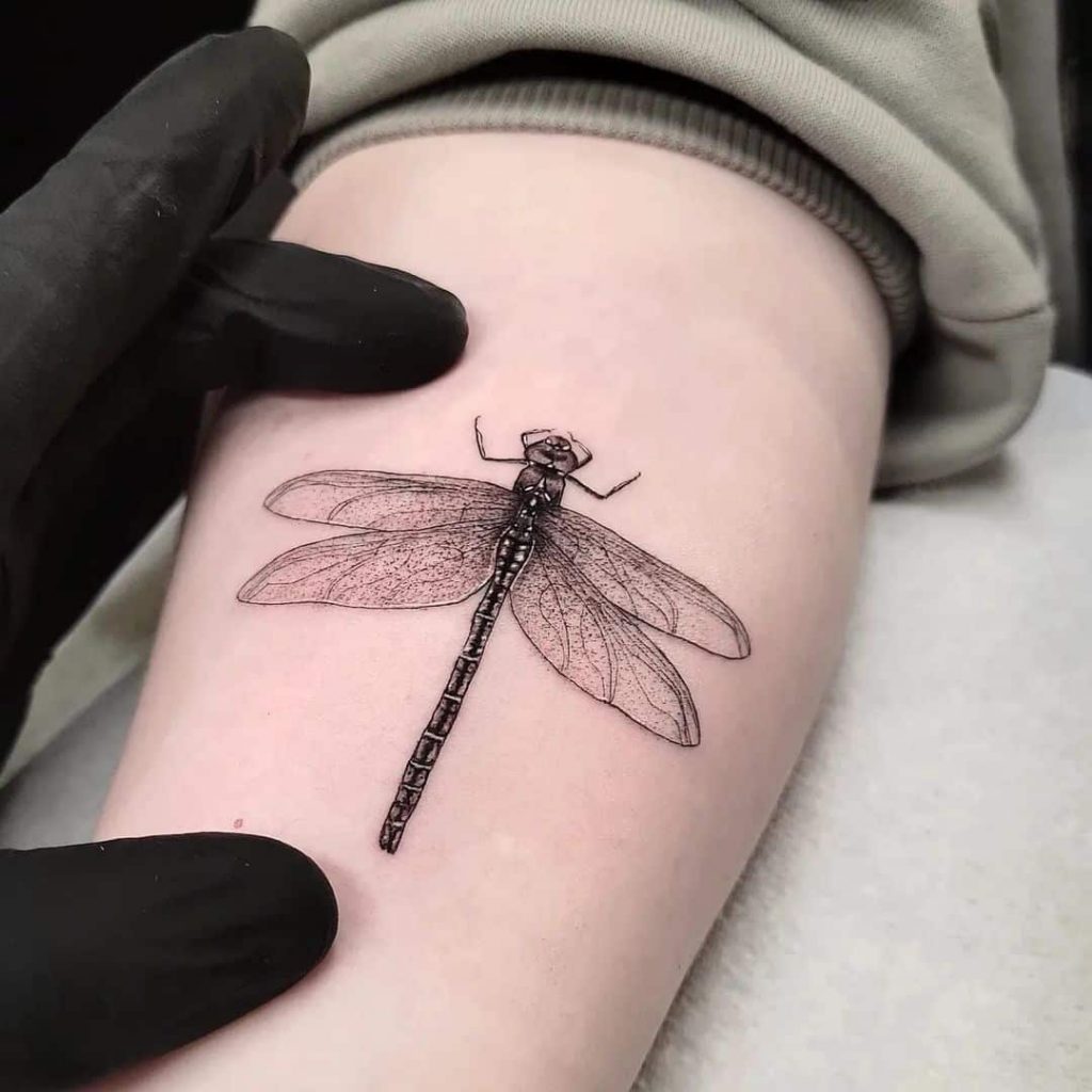 Eine feinlinige Libellen-Tätowierung auf dem Unterarm