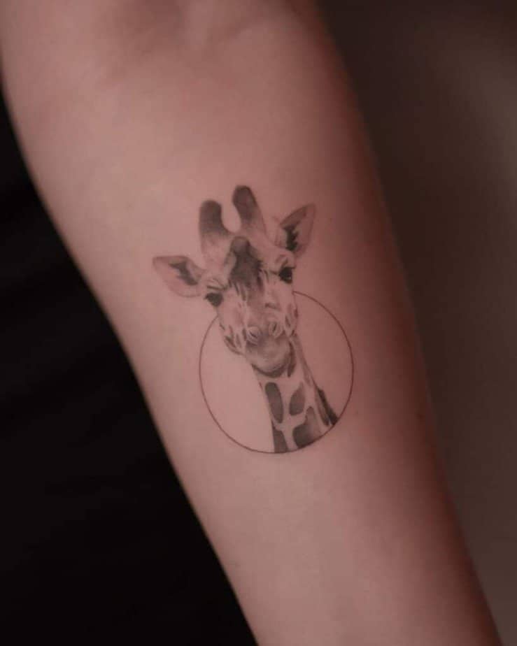 14. Giraffe in einem Kreis