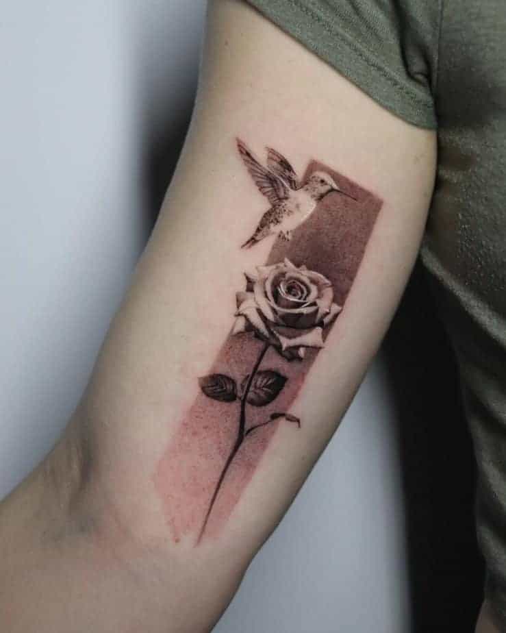 6. Rose und ein Kolibri