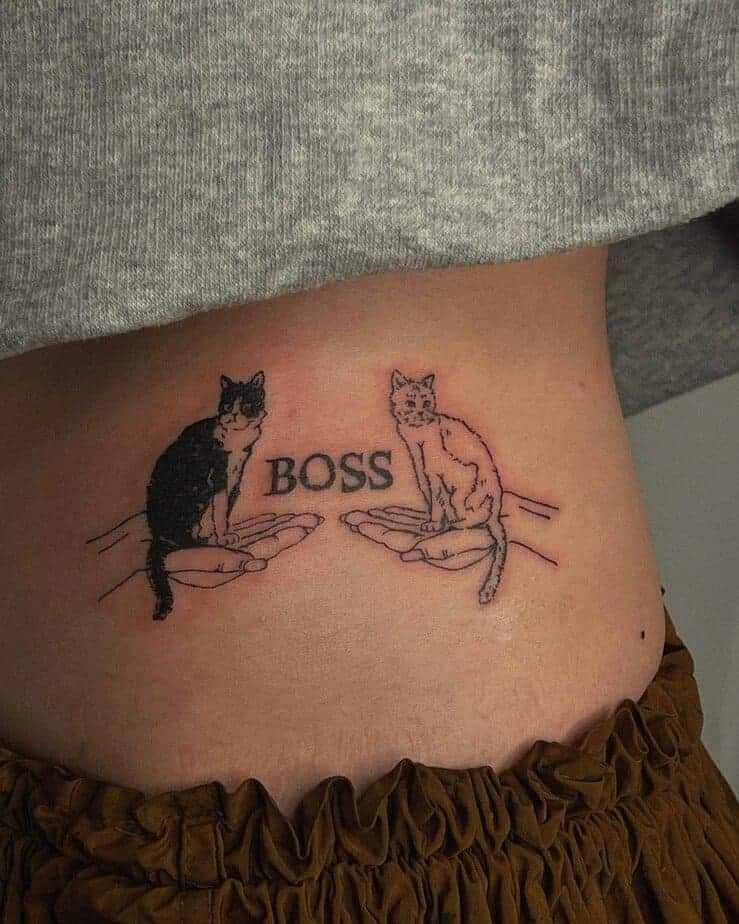 15. Boss-Katzen