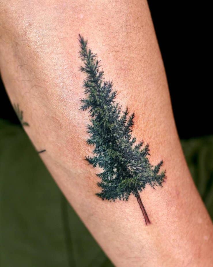 16. Mikro-realistisches Tannenbaum-Tattoo