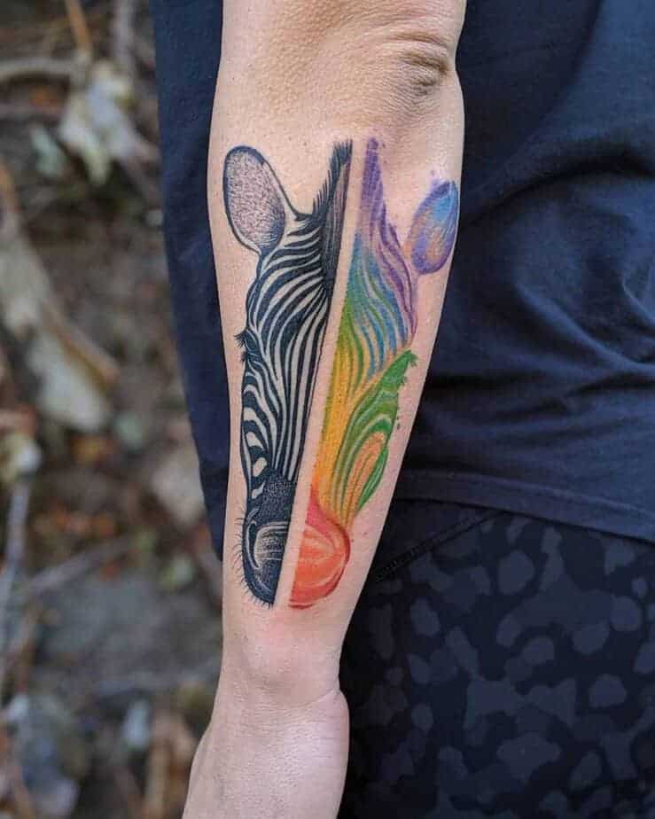 18. Halb Zebra, halb Regenbogen