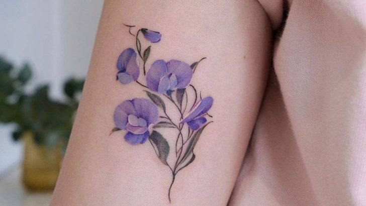 19 Delicate Sweet Pea Tattoo Ideen für einen Garten der Freude