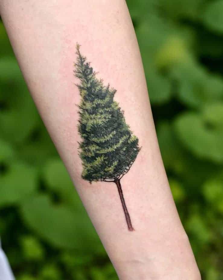 11. Tannenbaum-Tattoo