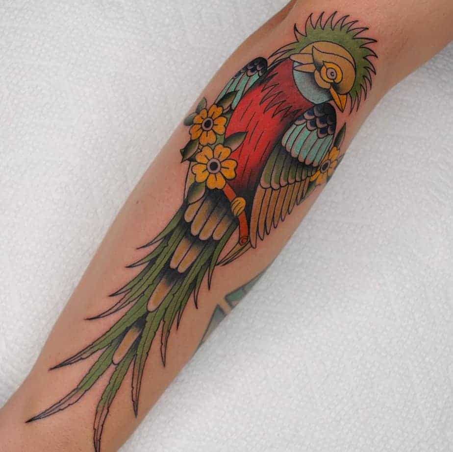 3. Traditioneller Quetzal