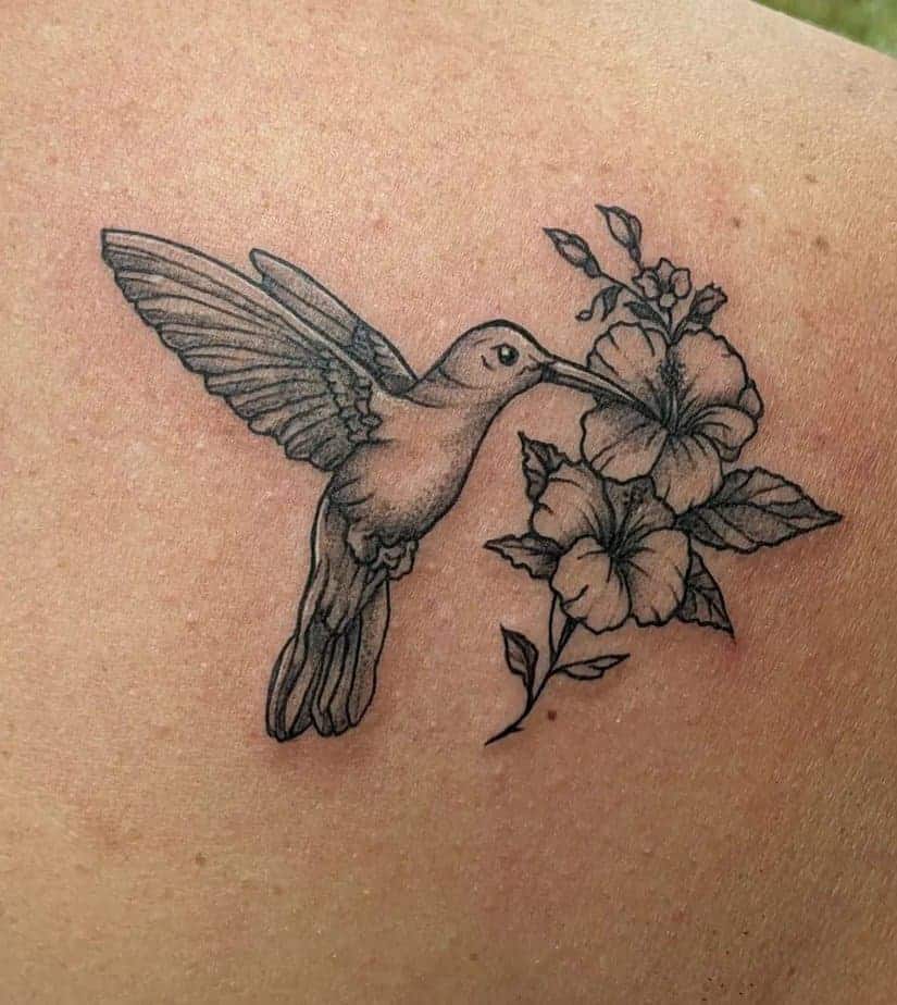 7. Kolibri und Hibiskus