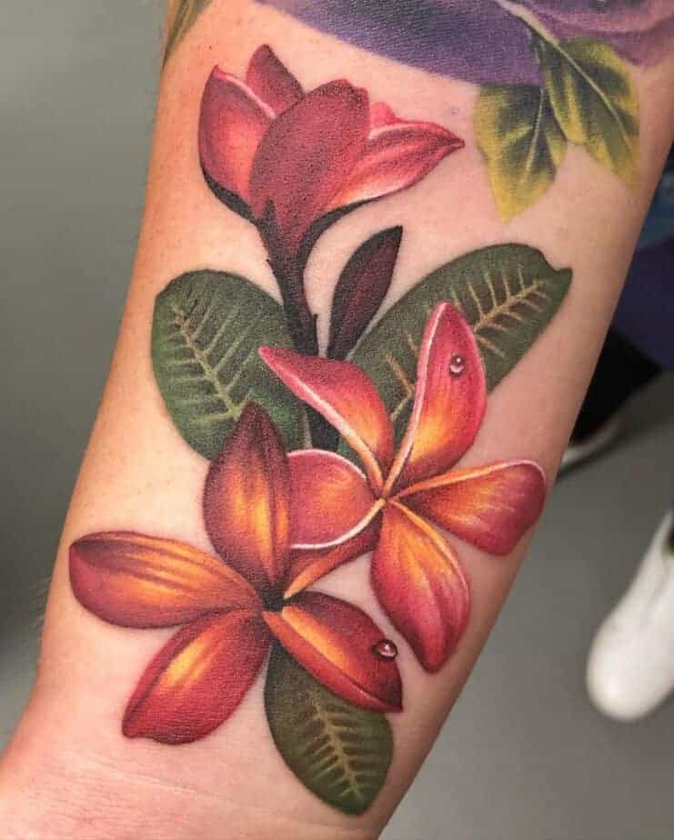 8. Realistisches Plumeria-Tattoo