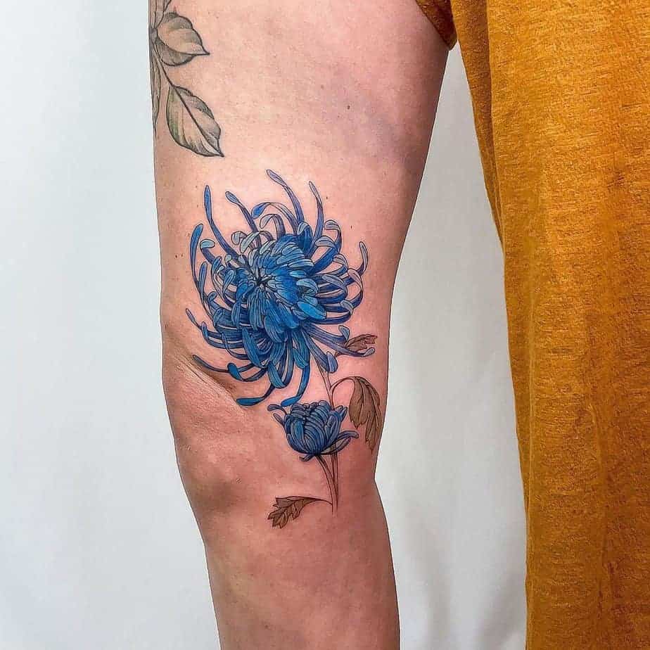 9. Blaue Chrysantheme