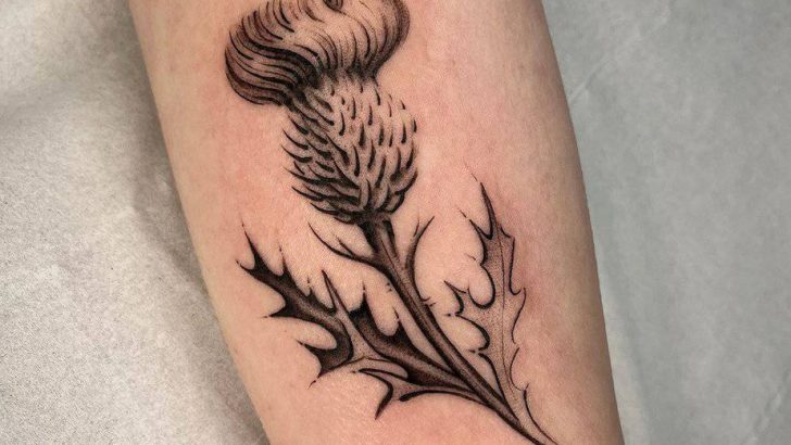 20 verblüffende Distel-Tattoo-Ideen, die zeigen, dass auch in den Dornen Schönheit steckt