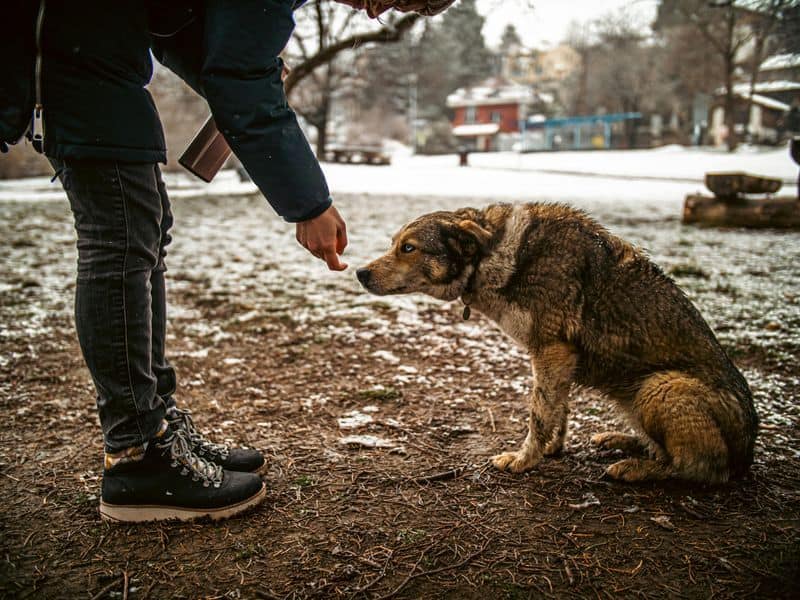 Freundlichkeit ohne Agenda
