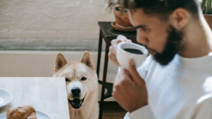 Wenn Männer das Interesse verlieren, lassen sie oft diese 11 subtilen Hinweise fallen