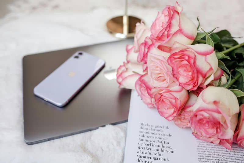 Spectacular Shows of Devotion