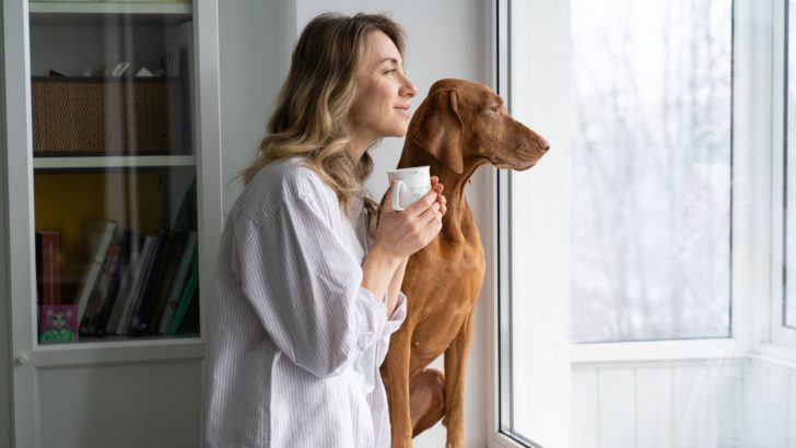 Menschen, die diese 9 sozialen Wahrheiten verstehen, werden seltener manipuliert