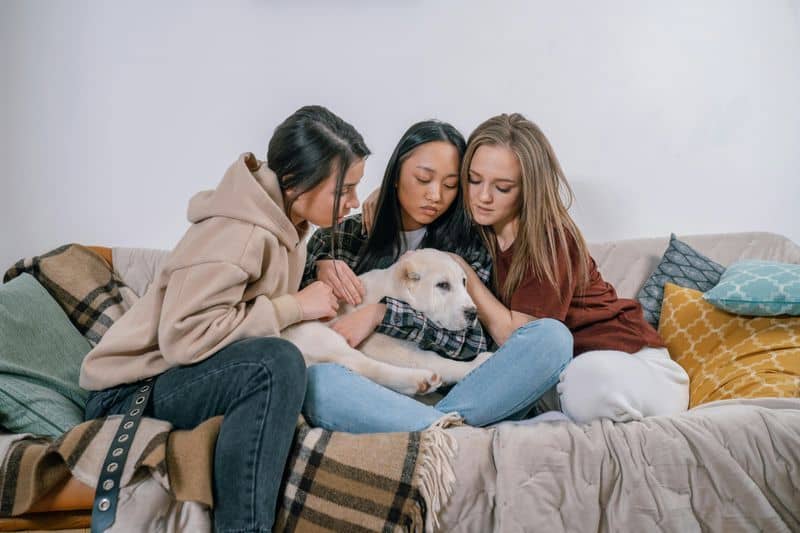 Baue ein starkes Unterst&uuml;tzungssystem auf