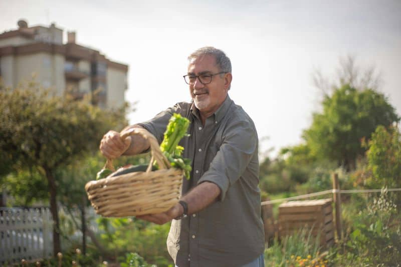 Gartenarbeit und Pflanzenpflege
