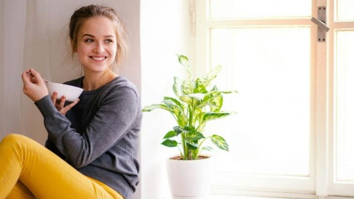 7 Wege, wie dein Umfeld deine psychische Gesundheit beeinflusst